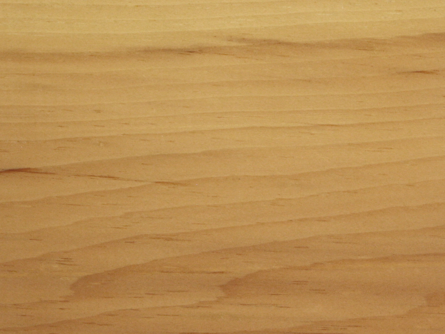 eastern-pine.jpg